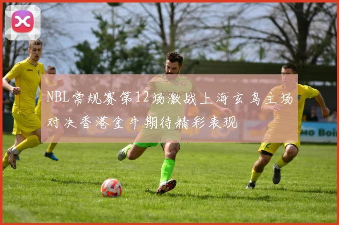 NBL常规赛第12场激战上海玄鸟主场对决香港金牛期待精彩表现