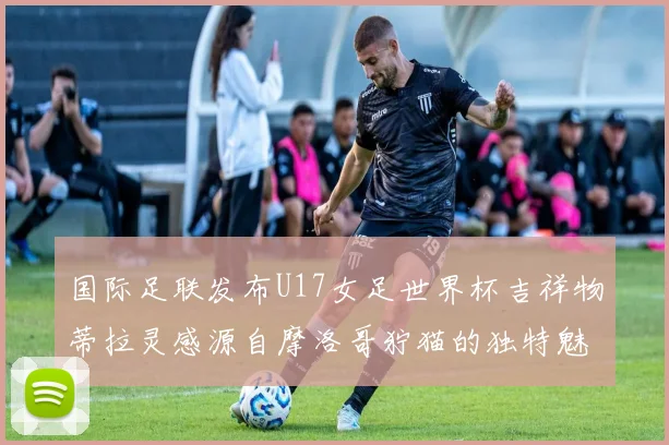 国际足联发布U17女足世界杯吉祥物蒂拉灵感源自摩洛哥狞猫的独特魅力