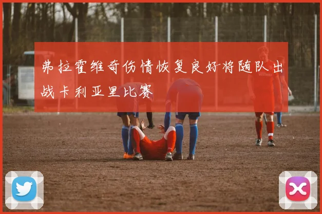 弗拉霍维奇伤情恢复良好将随队出战卡利亚里比赛