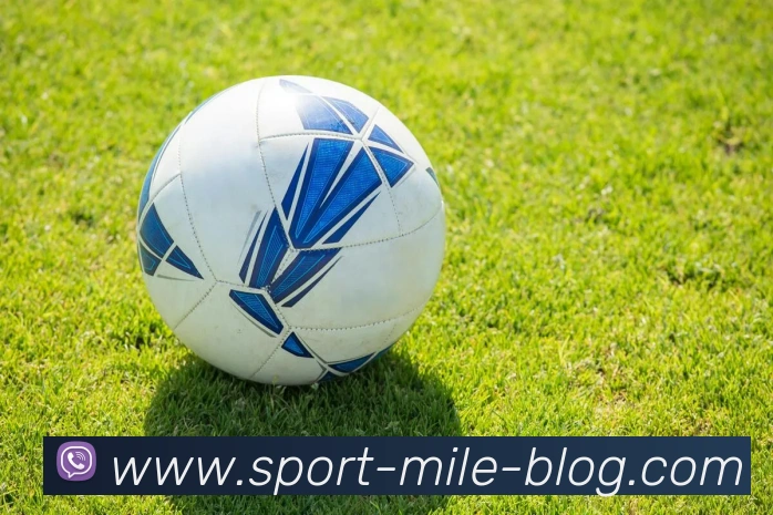 米乐体育APP 封面图